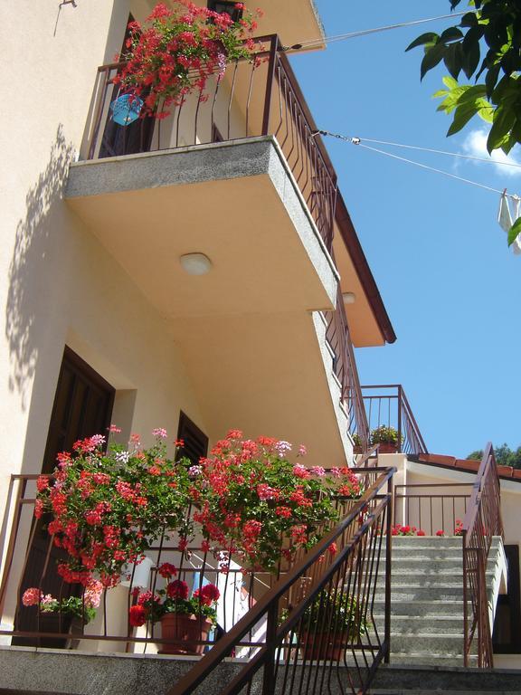 Apartments Grgorinic بولا المظهر الخارجي الصورة